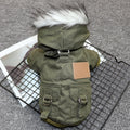 DoggyCoat Built for the Cold