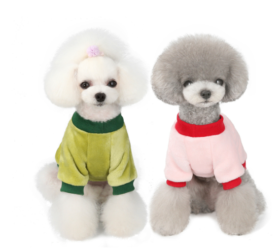 DoggyShirt FruitColors