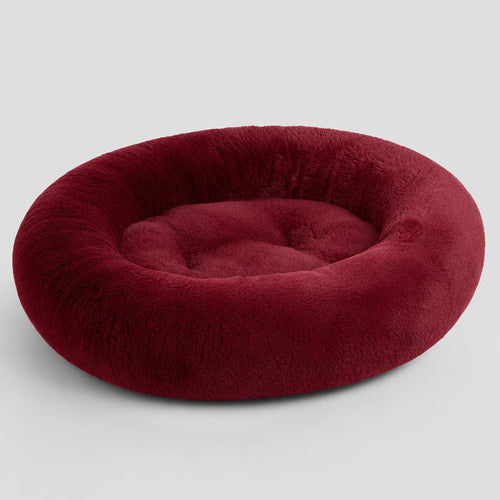 DoggyBed Maximum Comfort studio photo, cherry red