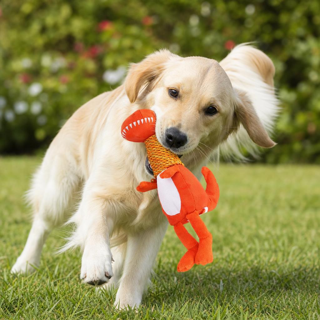 Dog playing with DoggyToy Dinosaur