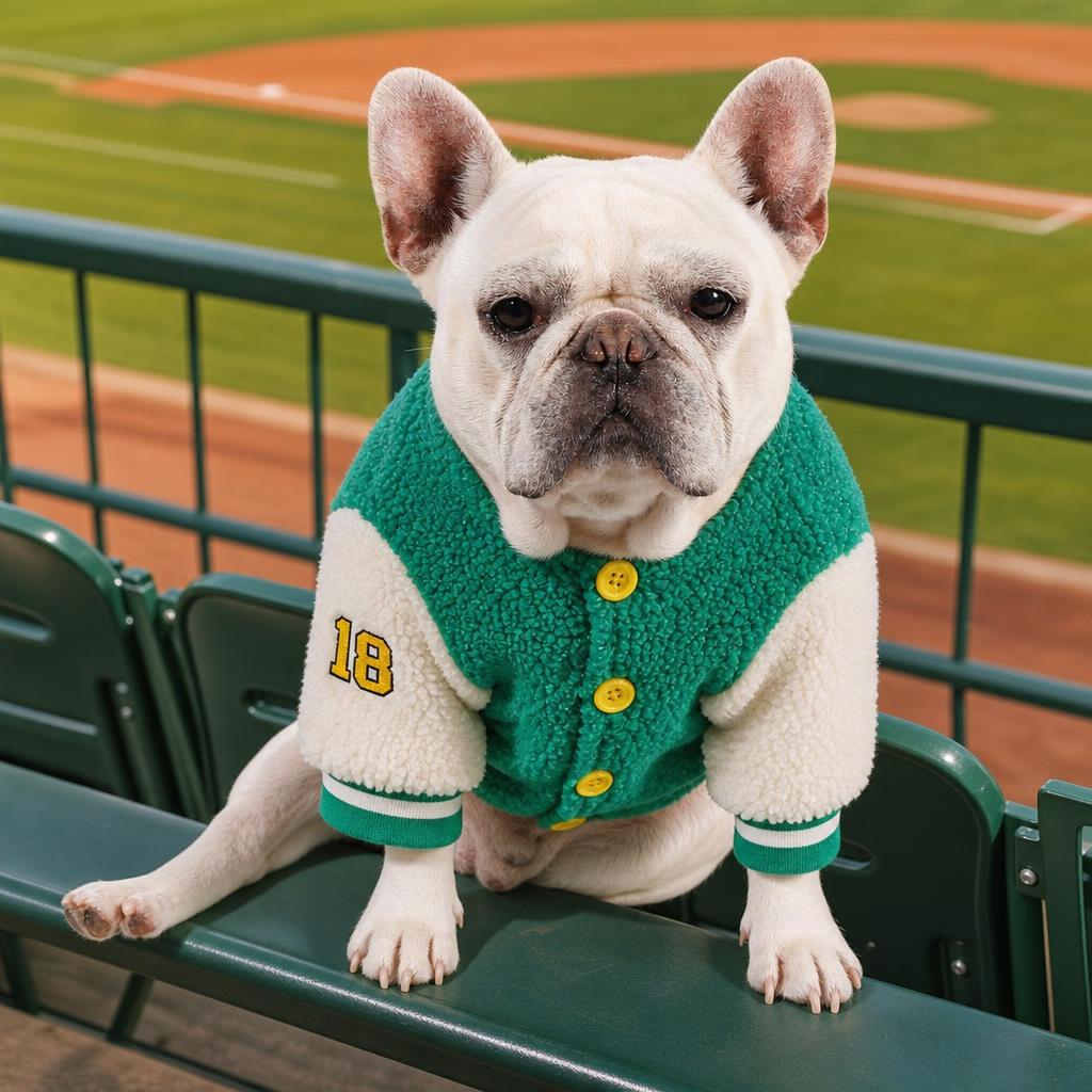 Dog wearing DoggyJacket Baseball at a ballpark