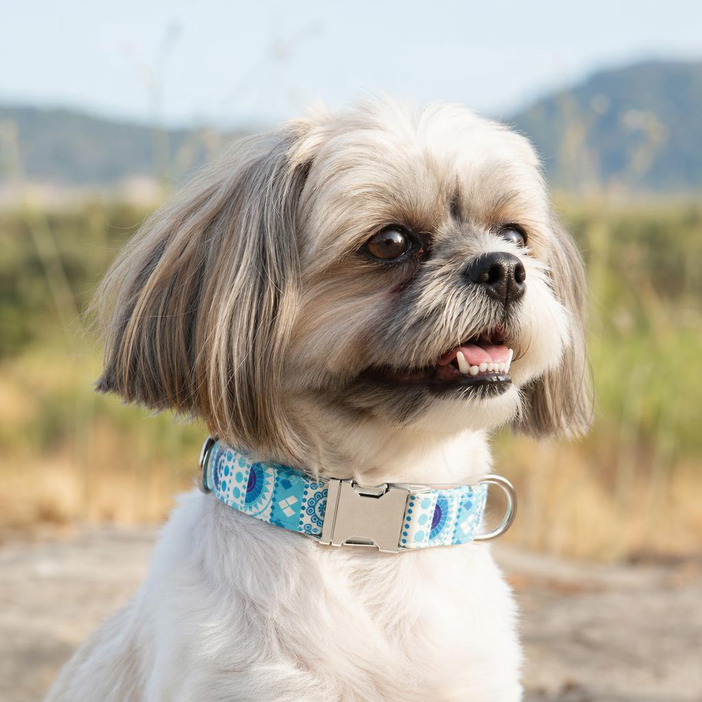 Dog wearing DoggyCollar LightBlue Flower