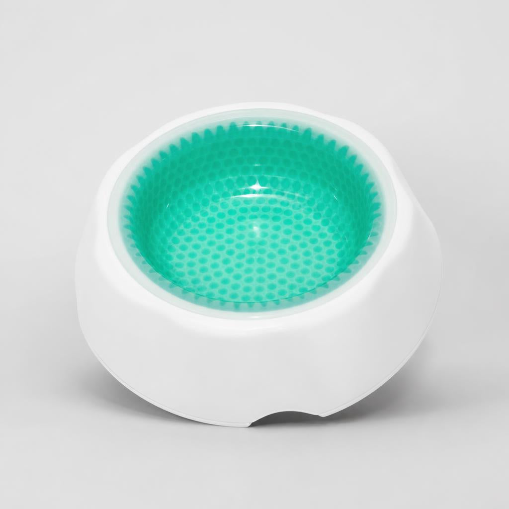 DoggyPlate Cooling Bowl for Heat studio photo