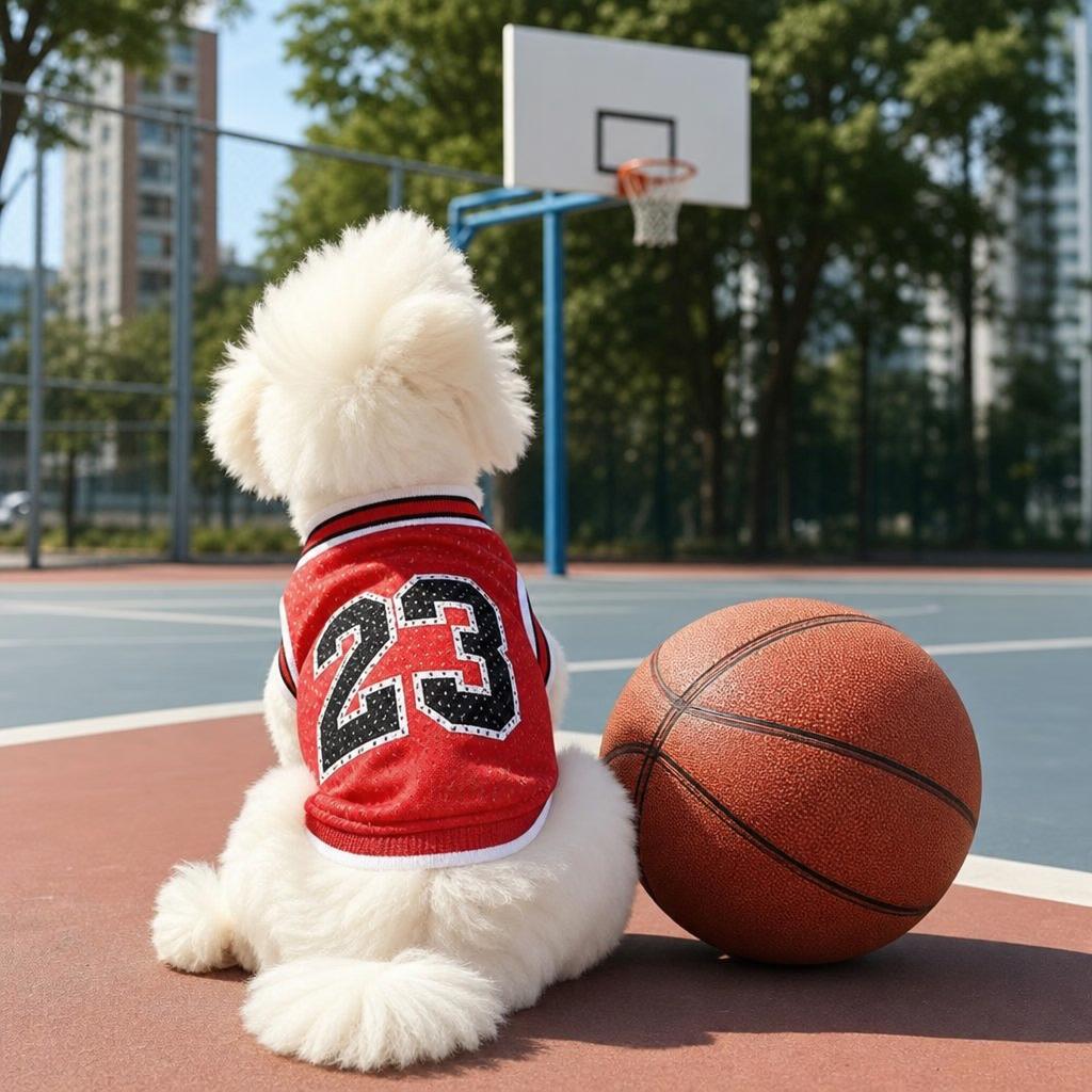 Dog wearing DoggyShirt AirGoat 23 on a basketball court