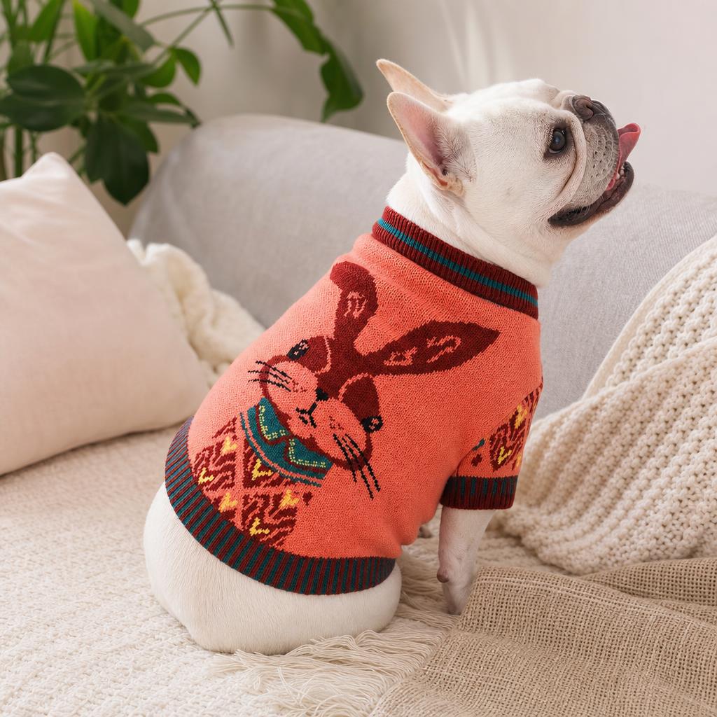 Dog wearing DoggySweater Red Bunny